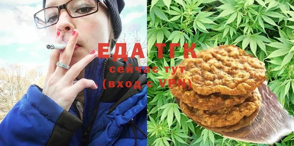 индика Елабуга