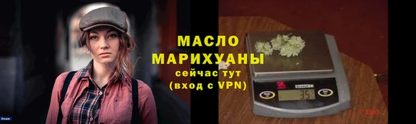 индика Елабуга